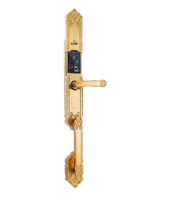 Khóa Đại Sảnh Tân Cổ Điển DS101